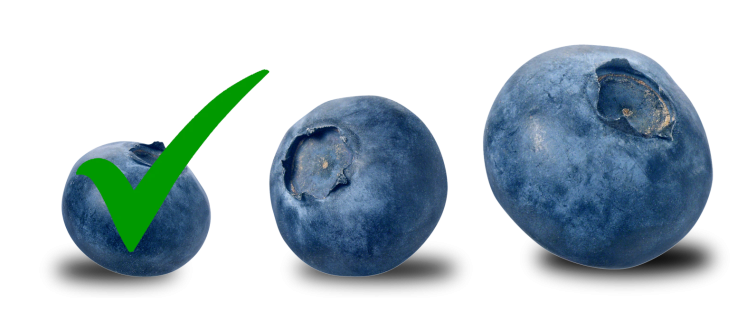 S bleue